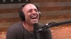 “You Went Blonde?!”- Joe Rogan's “Wig” at a “Baseball” Game Has Fans in  Splits Over Comedian's Latest Antics