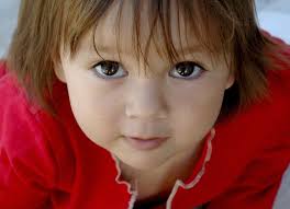 ANNUAL REPORT 2010-2011 A Year of Change