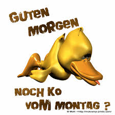 Hier findest du die besten bilder, fotos und gifs zum thema sonntag nachmittag. Guten Tag Gifs