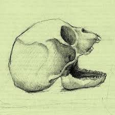 1.204 beğenme · 5 kişi bunun hakkında konuşuyor. Farmacia De La Colt Specii Last Fm