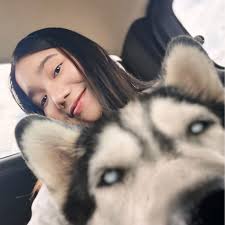 Did someone say tour??? Comment “MIDNIGHTSUN” or sign up at the link in my  bio for access to the pre-sale starting Wednesday 11th June at 10am local.  UK, Ireland, & Germany fans