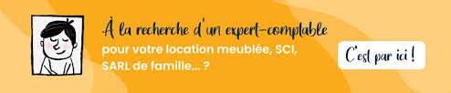 Lmnp Un Investissement Plein De Deconvenues Synonymes De Moins Values