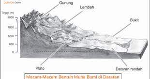 Bentuk muka bumi di daratan dan di lautan dari waktu ke waktu selalu berubah. Macam Macam Bentuk Muka Bumi Di Daratan Lengkap Pegunungan Gunung Daratan