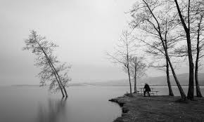 Towards a new landscape aesthetic 3d wallpaper custom 3d mural wallpaper simple landscape aesthetic european black and white. The Ultimate Guide To Black And White Photography 97 Tips