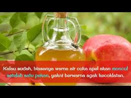 Maybe you would like to learn more about one of these? Bikin Sendiri Cuka Apel Untuk Kesehatan Dan Kecantikan Ini Cara Membuatnya Moms