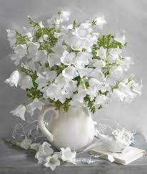 Jul 04, 2021 · 29 maggio, 15:56 spettacolo un tappeto di fiori bianchi, il teatro opera di roma omaggia carla fracci 'grazie carla': Marianna Lokshina White Bellflowers In Jug Fiori Bianchi Mazzo Di Fiori Foto Di Fiori