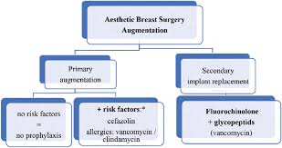 Mastopexy (figure 2) encompasses aesthetic correction of a breast by altering its shape and/or size. Algorithm For The Choice Of Antibiotics In Esthetic Breast Download Scientific Diagram