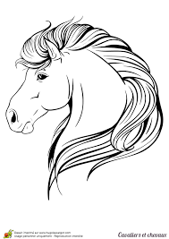 Dessins colorier cheval coloriages pour enfants. Coloriage Cavalier Et Chevaux Une Tres Belle Tete De Cheval