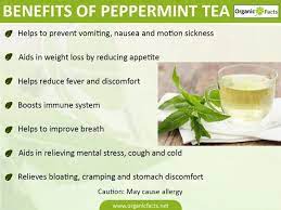 Pin On Herbalism