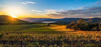 Due to covid restrictions and wildfire recovery, please call wineries to confirm tastings before visiting. Napa Valley Wineries Compare 2021 S Best Wineries