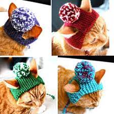 Win A Funky Knit Hat Or Lion S Mane For Your Cat Crochet Cat Knitted Hats Knitting