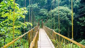15 Best Places To Visit In Coorg Tourism Attractions Coorg Tourist Places Cool Places To Visit Places To Visit