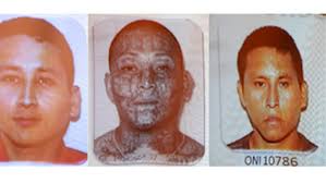 Cinco acusados en El Salvador por el asesinato de Christian Poveda