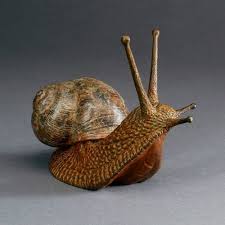 Bronze Sculpture By Sculptor Nick Bibby Titled Snail Small Bronze Garden Snail Sculpture Nickbibby Snails In Garden Snail Art Snail