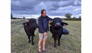 Anna bron nude leak kendall wears dramatic eye makeup to