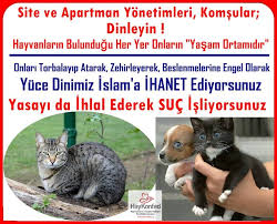 Haykonfed Kedi Ve Kopekleri Site Bahcelerinde Istemeyen Facebook