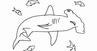Pin On Coloring Page For Kids