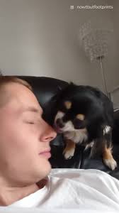 When you’re angry but you still want love and attention… 😂