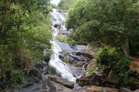 Sebut sahaja negeri kedah pastinya ramai yang terbayangkan keindahan jelapang padi yang terhampar yan merupakan sebuah bandar dan daerah yang terletak di kedah, malaysia. 15 Tempat Menarik Di Kedah Yang Mesti Dikunjungi Listikel Com