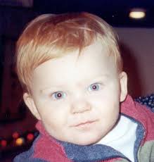 And a Partridge in a Pear Tree...