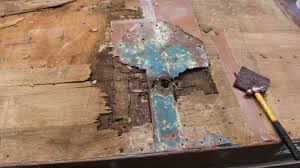 Is also known in the real estate world as a leading handyman to take care of the findings on termite and home inspection reports in a timely and cost efficient matter. Boat Dry Rot In Sacramento Sacramento Boat Repair At Classic Craft