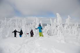 Risultati immagini per parc des monts valins carte