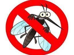 Buy the best and latest pest mosquito on banggood.com offer the quality pest mosquito on sale with worldwide free shipping. Insects Killing Sprays Top Products To Keep Bugs Out Of Your Home Most Searched Products Times Of India