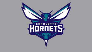 See actions taken by the people who manage and post content. Hornets Team Logo Shefalitayal