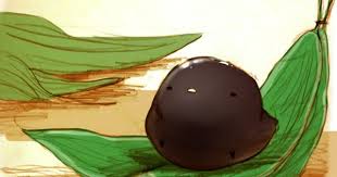 京都のお菓子 レンコンのでんぷんで固めた ぷるぷるもちもちの和菓子だそうでとてもとても気になっています 食べ物 イラスト すいーとり キュートな料理