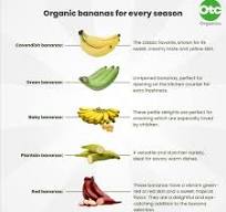 Year-round delights: organic bananas for every season - OTC ...