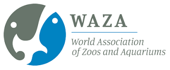 Waza World Association Of Zoos And Aquariums