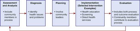 Community Diagnosis Planning And Intervention Nurse Key