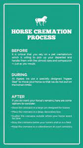 Cremation could be a personal choice or a. Guide To Pet Cremation How It Works What To Expect Agape