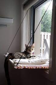 Cats That Love To Chill In Their Hammocks Cat Hammock Cat Room Cat Diy