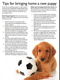 Tips For Bringing Home A New Puppy A Dog S Best Friend Puppytrainingtips New Puppy Yorkshire Terrier Puppies Puppies