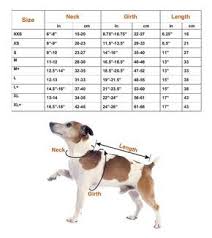 Pin By Ewa On Modelowanie Kaftana Dle Psow In 2020 Dog Clothes Dog Clothes Diy Knitted Coat