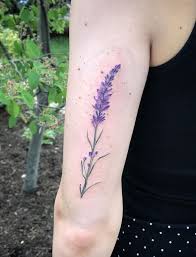 Lavendel Tattoo Bedeutung Und 40 Schonsten Ideen Fur Frauen Beste Tattoo Ideen Lavender Tattoo Tattoos Black Tattoos