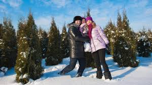 We're proud that our christmas tree farm is still very much a mom & pop operation. The Best Christmas Tree Farms In Nj Best Of Nj Holiday Feature
