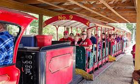Timbavati wildlife park, wisconsin dells, wi. Timbavati Wildlife Park In Wisconsin Dells Wi Groupon