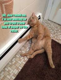 I M In No Rush Funny Animals Funny Animal Pictures Funny Cats