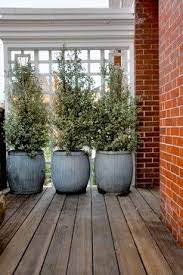 Feb 19, 2016 · consider placing a deck near an existing pond in your landscape to add the tranquil sound of moving water to the retreat. San Francisco Decorator Showcase 2009 Edible Deck Garden Privacy Plants Patio Privacy Plants Potted Plants Patio