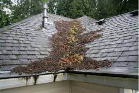 We only use high quality time tested roofing materials. Central Va Roofing Commercial And Residential Roofing Contractor Charlottesville Va Roofer Charlottesville Va Roofing Service Contractor