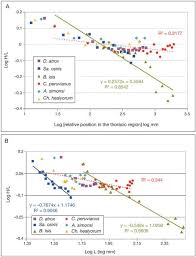 Given a number n, find its square root upto a precision p. The Anatomy And Phylogenetic Affinities Of Cynthiacetus Peruvianus A Large Dorudon Like Basilosaurid Cetacea Mammalia From The Late Eocene Of Peru