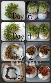 Canned food stacking (via hands on as we grow). 15 Spring Activities For Kids The Imagination Tree