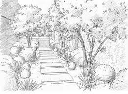 Jardin C Hidra Aravaca Entrada Landscape Drawings Landscape Sketch Landscape Design Drawings