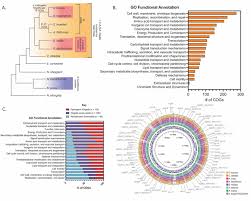 Image result for Neisseriaceae