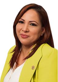 Plantilla de Integrantes de comision LXIII