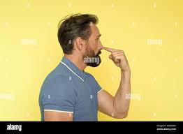 Image result for Cerebellar Function Test