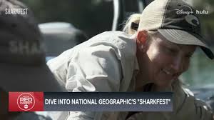 Sharkfest 2025 is here! Sharks Gone Viral