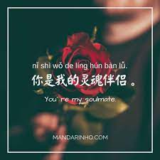 Your teacher can open the door, but you must enter by yourself. Chinese Love Phrases 8 Ways To Tell That Special Someone How You Feel Mandarin Hq